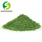Polvere di Moringa