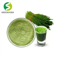 Polvere di erba di grano