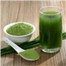 Pure Barley Grass Powder