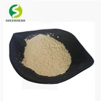 Polvere di isoflavoni di soia