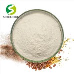 Olio di semi di lino in polvere