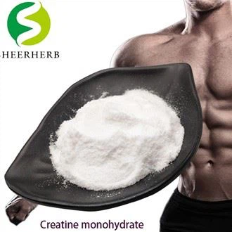 Creatina monoidrato pura in polvere