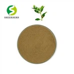 Polvere di Ashwagandha grezza