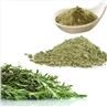 Rosemary Extract