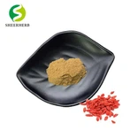 Polvere di bacche di wolfberry